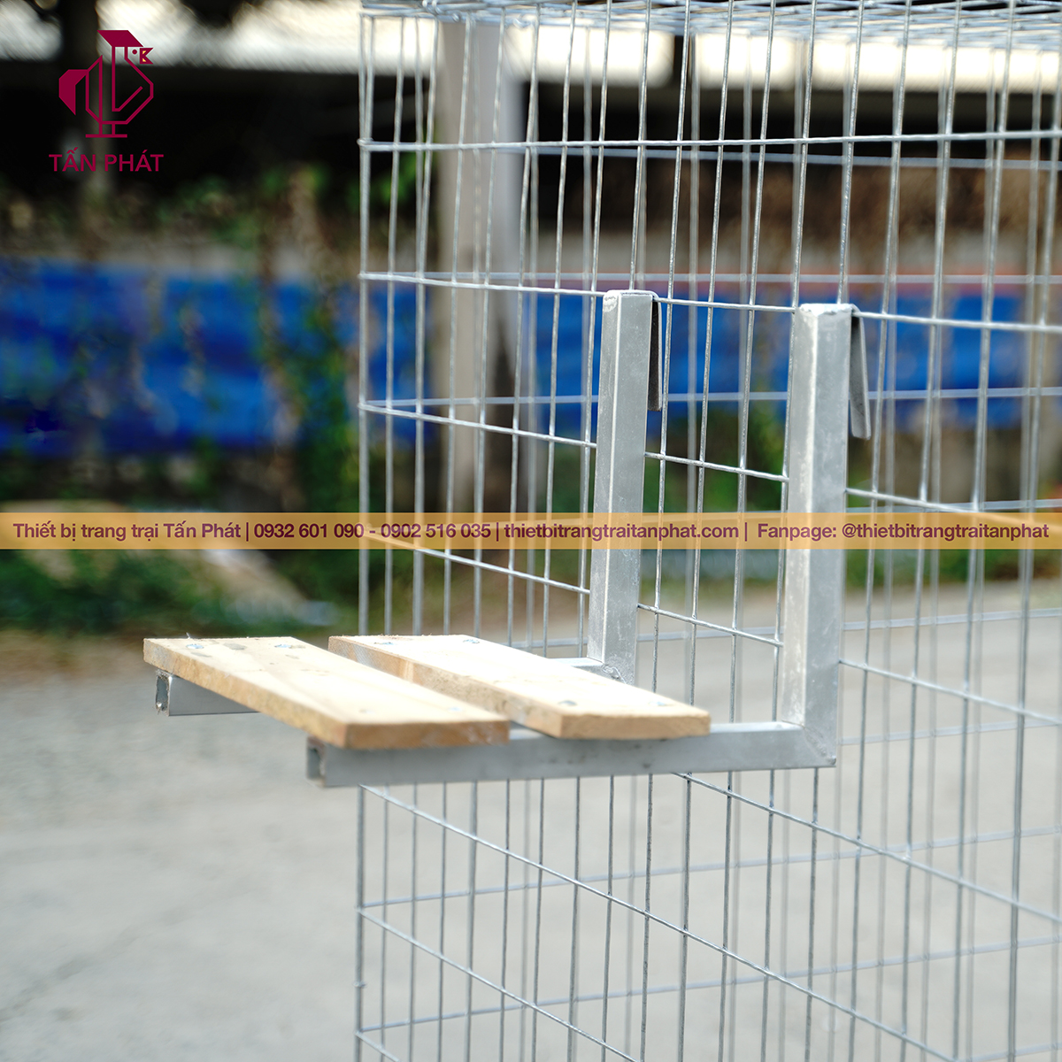 Kệ cho gà đậu - Thiết bị trang trại Tấn Phát Kệ cho gà đậu